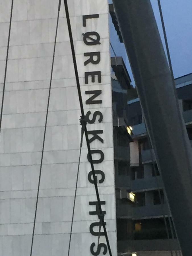Skarer Veie 58 Διαμέρισμα Lorenskog Εξωτερικό φωτογραφία